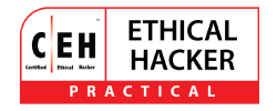 CEH, Certified Ethical Hacker